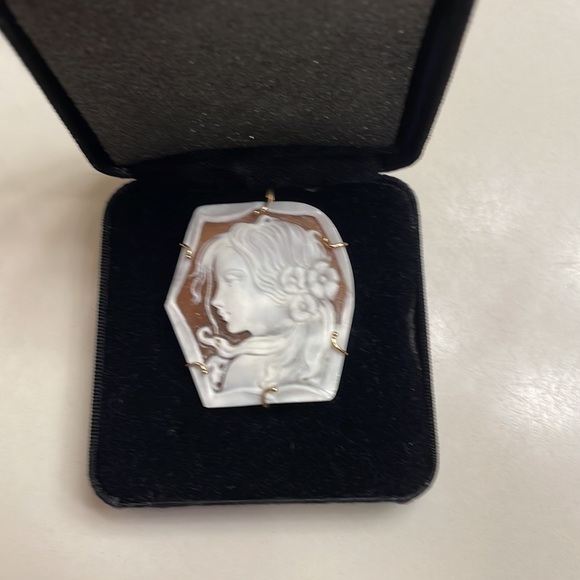 Gorgeous cameo pin/pendant - Picture 2 of 7